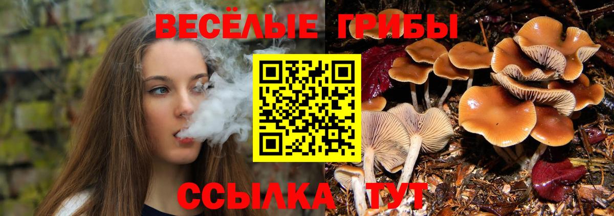 Отрадное  Псилоцибиновые грибы GOLDEN TEACHER  Вход с VPN 