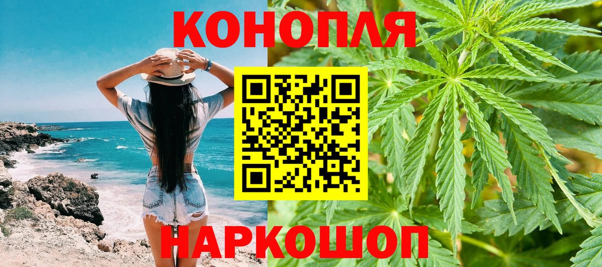 МАРИХУАНА конопля  Каннабис сатива  Отрадное  Вход с VPN 